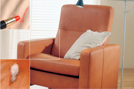 Fabric & Leather Upholstrery