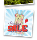 Joe Browns SALE